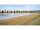 Scenic view of a community pond with well maintained landscaping and surrounding homes at 9698 W Lantern Ln, Pendleton, IN 46064