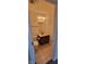 Bathroom with a vanity, mirror, toilet, and light walls at 1223 Blackthorne S Trl, Plainfield, IN 46168