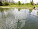 Scenic pond featuring a goose swimming peacefully in the water, surrounded by greenery at 1223 Blackthorne S Trl, Plainfield, IN 46168