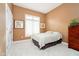 Bedroom featuring plush carpet, double windows providing natural light, and ensuite bathroom access at 14020 Quarter Horse Ct, Carmel, IN 46032