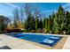 A large, in-ground swimming pool is surrounded by tall trees and lush greenery and has lounging chairs nearby at 1813 Milford St, Carmel, IN 46032
