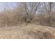 Pathway through secluded grounds, providing a tranquil and private setting at 4034 W 700 S, Shelbyville, IN 46176