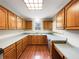 Traditional kitchen with wooden cabinets, stainless steel sink, and lots of natural light at 5107 Stirling Point Dr, Indianapolis, IN 46241