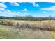Serene field with scattered trees, creating a natural and open landscape, enhancing the property's appeal at 5420 W Goeller W Rd, Columbus, IN 47201