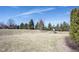 Expansive backyard with a playset, ideal for Gathering fun and outdoor entertainment at 12650 Misty Ridge Ct, Fishers, IN 46037