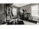 Home gym featuring modern exercise equipment and natural light from the windows at 13306 Saxony W Blvd, Fishers, IN 46037