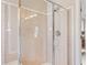 Enclosed shower featuring neutral-toned walls and chrome fixtures providing a private and functional space at 9914 Springstone Rd, Fishers, IN 46055