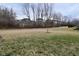 Large, partially grassy backyard showcasing mature trees and landscaping enhancing privacy and providing natural beauty at 5176 Green Valley Ln, Noblesville, IN 46062