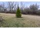 Lush backyard with a small decorative tree, offering a serene outdoor space for relaxation and recreation at 5176 Green Valley Ln, Noblesville, IN 46062