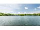 Scenic lake view with serene water and lush green trees along the shoreline at 6560 Dawson Lake Dr, Indianapolis, IN 46220