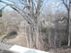 View from deck showing surrounding mature trees at 8940 Black Hawk Ln, Indianapolis, IN 46234