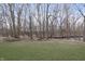 Large backyard with mature trees, lush green grass, and a serene creek at 504 Stony Creek Cir, Noblesville, IN 46060