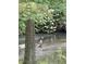 Backyard view featuring an eagle in the stream, enhancing the property's unique natural appeal at 504 Stony Creek Cir, Noblesville, IN 46060