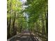 Picturesque bike trail lined with lush trees and wooden fences, perfect for outdoor adventures at 700 Greenford N Trl, Carmel, IN 46032