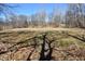 Spacious backyard with a tree lined perimeter and tree shadowing at 3546 Stierwalt Rd, Quincy, IN 47456