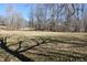 Spacious backyard with a tree lined perimeter and some trees shadowing the ground at 3546 Stierwalt Rd, Quincy, IN 47456
