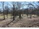Wooded area with mature trees and a scattering of leaves on the ground at 3546 Stierwalt Rd, Quincy, IN 47456