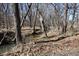 A running stream in the woods on the property at 3546 Stierwalt Rd, Quincy, IN 47456