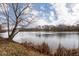 Scenic lake view with mature trees and natural shoreline at 5629 Crittenden Ave, Indianapolis, IN 46220