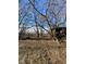 A wooded area shows a damaged shed and overgrown vegetation at 6944 E 300 S, Greenfield, IN 46140