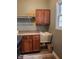 Functional laundry room with wooden cabinets, a utility sink, and modern flooring at 16 Torrey Pine Dr, Brownsburg, IN 46112