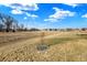 View of the spacious yard and neighborhood featuring a young ornamental tree at 1684 Hedley W Way, Avon, IN 46123