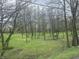 Overgrown backyard surrounded by mature trees and grass at 5533 Wilson Way, Jamestown, IN 46147