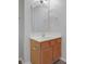 Bathroom featuring a light wood vanity with a white countertop at 9730 Prairie Smoke Dr, Noblesville, IN 46060