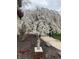 Charming front yard with a beautiful flowering tree and a serene statue enhancing the curb appeal at 5055 Willow Rd, Zionsville, IN 46077