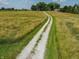 Long driveway leading to a house surrounded by vast field, lush greenery and mature trees in a serene setting at 695 N 650 W, Lebanon, IN 46052
