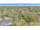 An aerial view of a home is surrounded by dense, mature trees, creating a peaceful and private setting at 8190 Jordan Ln, Indianapolis, IN 46240