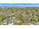 Expansive aerial view showcases a neighborhood surrounded by dense, mature trees with glimpses of homes beneath the canopy at 8190 Jordan Ln, Indianapolis, IN 46240