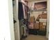 Walk-in closet with ample storage space, shelving, and clothing racks for organization at 8848 Hosta Way, Camby, IN 46113