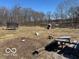 Large lot includes trampoline, swing set, picnic table and slide perfect for Gathering fun at 13863 N Stiles Rd, Mooresville, IN 46158
