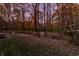 Lush backyard with mature trees and foliage, featuring a clearing for recreation and relaxation at 9643 N Box Elder Ct, McCordsville, IN 46055