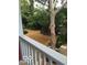 View of the backyard with well manicured landscaping and a small shed at 1320 N New Jersey St, Indianapolis, IN 46202