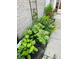 Close-up of lush front yard landscaping with colorful flowers and greenery at 5769 Marsh Glen Ct, Carmel, IN 46033