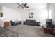 Cozy living room featuring carpet, ceiling fan, and plush furniture, perfect for relaxation and entertainment at 9769 Green Knoll Dr, Noblesville, IN 46060