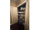 Pantry with well-organized shelves and storage solutions at 6526 Jade Stream Ct # 309, Indianapolis, IN 46237
