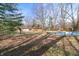 Large backyard featuring mature trees and an in-ground pool at 8615 El Rico Dr, Indianapolis, IN 46240