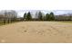 Spacious outdoor horse arena with manicured sand footing and perimeter fencing, ready for equestrian pursuits at 8810 E 200 S, Zionsville, IN 46077