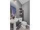 Powder room features a pedestal sink, toilet, and unique decorative shelving at 11614 Presidio Dr, Indianapolis, IN 46235