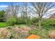 Secluded backyard featuring native plants, mature trees, and an access to a wooden deck at 13841 Waywing Ct, Carmel, IN 46033