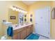 Bright bathroom boasts a double vanity, ample lighting, and decorative touches at 18357 Piers End Dr, Noblesville, IN 46062