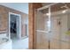 Well-appointed bathroom featuring a glass-enclosed shower, adjacent to walk-in closet and elegant fixtures at 7823 Beechwood Farms Dr, Avon, IN 46123
