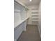 Bright walk-in closet with shelves, rod and rail storage, and neutral carpeting at 5421 Upper Garden Way, Zionsville, IN 46077