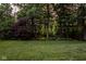 Lush green lawn surrounded by mature trees, creating a private and peaceful backyard oasis at 5977 S 800 E, Zionsville, IN 46077
