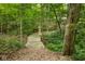 Landscaping feature with stone bridge in wooded backyard at 5977 S 800 E, Zionsville, IN 46077