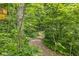 Pathway in a wooded backyard at 5977 S 800 E, Zionsville, IN 46077