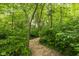 Pathway in a wooded backyard at 5977 S 800 E, Zionsville, IN 46077
